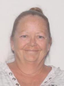 Jodi Ann Newman a registered Sexual Offender or Predator of Florida