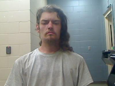 Stian Mckinley Parsons a registered Sexual Offender or Predator of Florida