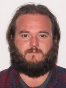 Michale Richard Allison Jr a registered  of Florida