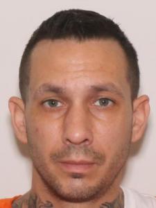 Shawn Michael Layne a registered Sexual Offender or Predator of Florida