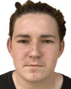 Jordan Carey Briggs a registered Sexual Offender or Predator of Florida