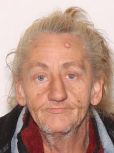 Carol Ann Rood a registered Sexual Offender or Predator of Florida