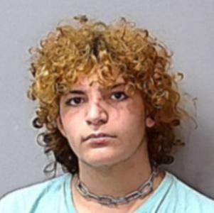 Christian Lee Gibson a registered Sexual Offender or Predator of Florida