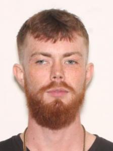 David Matthew Mcginness Jr a registered Sexual Offender or Predator of Florida