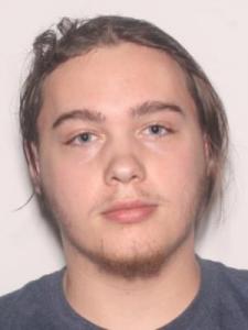 Hunter Beauchemin a registered Sexual Offender or Predator of Florida