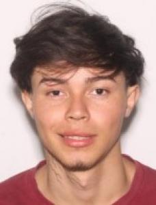 Junior Vidal Miranda Ortiz a registered Sexual Offender or Predator of Florida