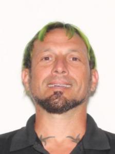 Daniel G Fedele a registered Sexual Offender or Predator of Florida