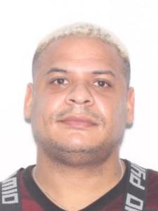Raphy Ramos Ayala a registered Sexual Offender or Predator of Florida