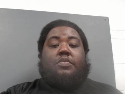 Rodney William Brooks Jr a registered Sexual Offender or Predator of Florida