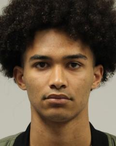 Emmanuel Luke Lee a registered Sex Offender of Delaware