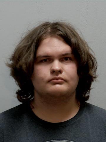 Marcus Anthony Mikail Schwark a registered Sex Offender of Michigan