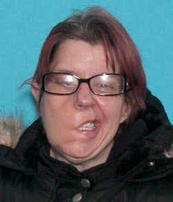 Bonnie Ann Bushey a registered Sex Offender of Michigan
