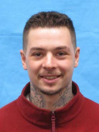 Ryan David Dominish a registered Sex Offender of Michigan