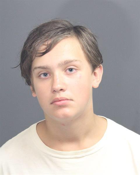 Ethan Blease Gell a registered Sex Offender of Michigan