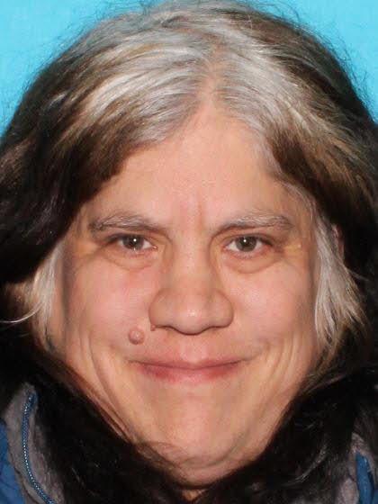 Toni Annette Dorman a registered Sex Offender of Michigan