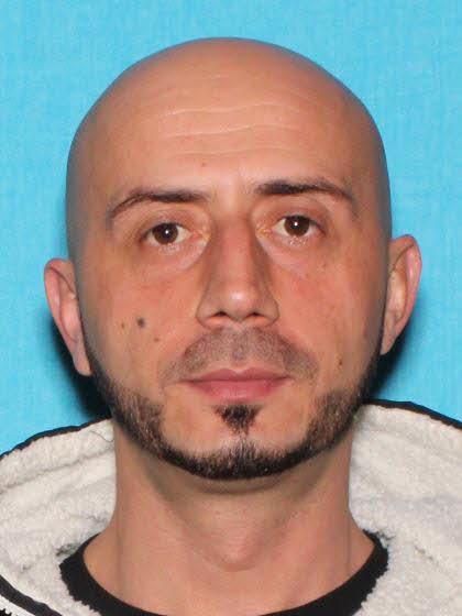 Mirban Lleshi a registered Sex Offender of Michigan