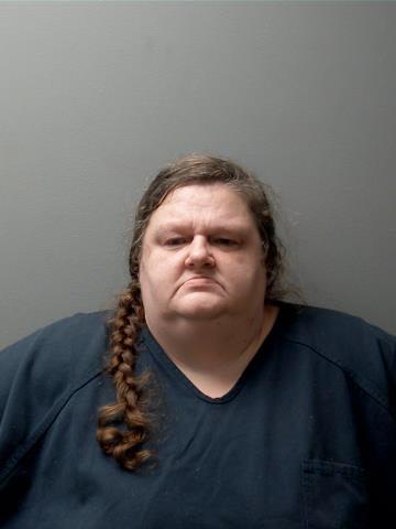 Amanda Lynn Walters a registered Sex Offender of Michigan