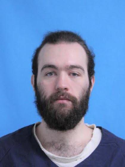 Matthew Devin Williams a registered Sex Offender of Michigan