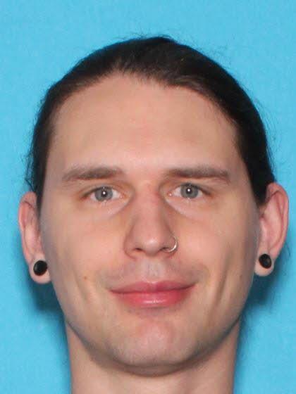 Brett Donald Fellows a registered  of Michigan