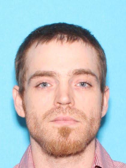 Dane Ronald-richard Brickey a registered Sex Offender of Michigan