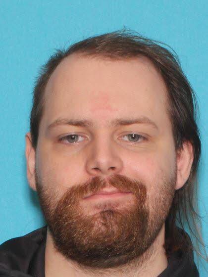 Blake Stephen Replogle a registered Sex Offender of Michigan