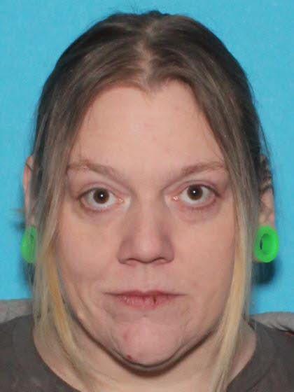 Stacey Jean Horner a registered Sex Offender of Michigan