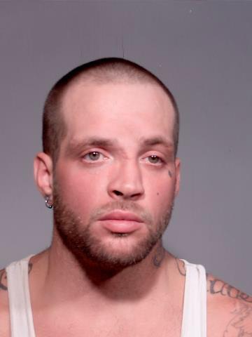 Dameyell Dalton Deshanzo a registered Sex Offender of Michigan
