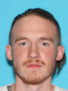 Ryan David Rosansky a registered Sex Offender of Michigan