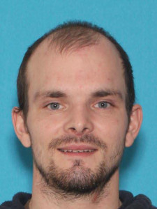 Micheal Alexander Runyon a registered Sex Offender of Michigan