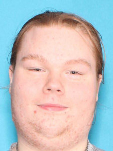 Codee Harvest Johnson a registered Sex Offender of Michigan