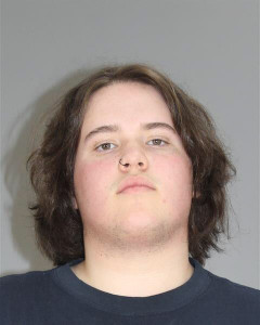 Brogan Dan Hendon a registered Sex Offender of Michigan