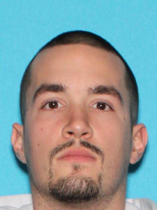 Anthony Michael Haveman a registered Sex Offender of Michigan