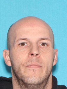 Brandon Lee Theodorou a registered Sex Offender of Michigan