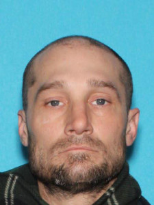 Trevor Matthew Witt a registered Sex Offender of Michigan