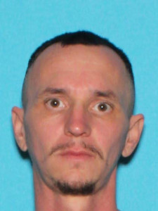 Daniel Lee Rummelt a registered Sex Offender of Michigan