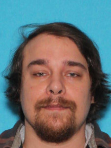 Logan Bernard Westerberg a registered Sex Offender of Michigan