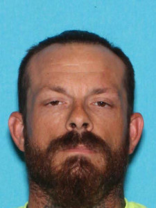 Allen Leroy Harrington a registered Sex Offender of Michigan