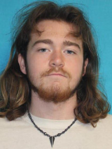 Ethan Arthur Fege a registered Sex Offender of Michigan