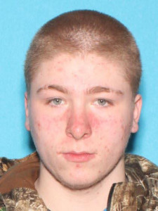 Brandon Leon Maystead a registered Sex Offender of Michigan