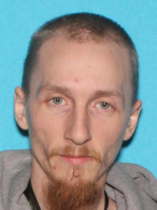 Anthony Todd Hite a registered Sex Offender of Michigan