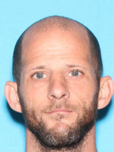 Donald James Lowe a registered Sex Offender of Michigan