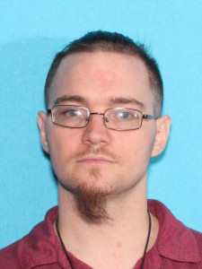 Brian Joseph Mccarthy a registered Sex Offender of Michigan