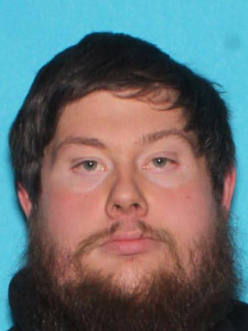 Dennis Paul Noles a registered Sex Offender of Michigan