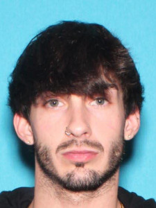 Dennis John Theakston a registered Sex Offender of Michigan