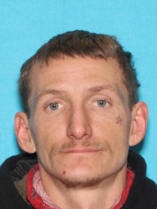 Alvin Bryan Britton a registered Sex Offender of Michigan