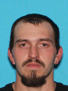 Gerald Allen Marsh a registered Sex Offender of Michigan