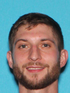 Kyle Steven Lavake a registered  of Michigan