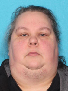 Mary Nicole Sydow a registered Sex Offender of Michigan