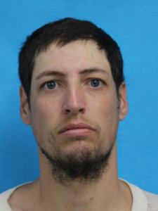 Alen James Price a registered Sex Offender of Michigan