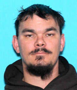 Lawrence Robert Thayer a registered Sex Offender of Michigan